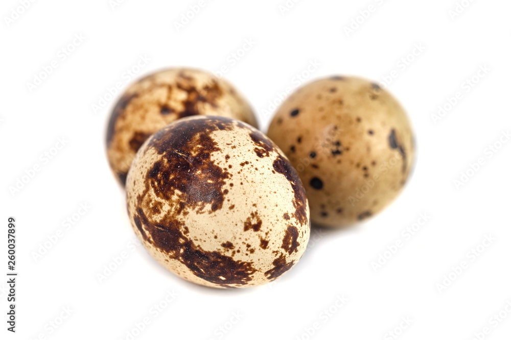 quail eggs isolated on white background. close up quail eggs isolated on white background. close up