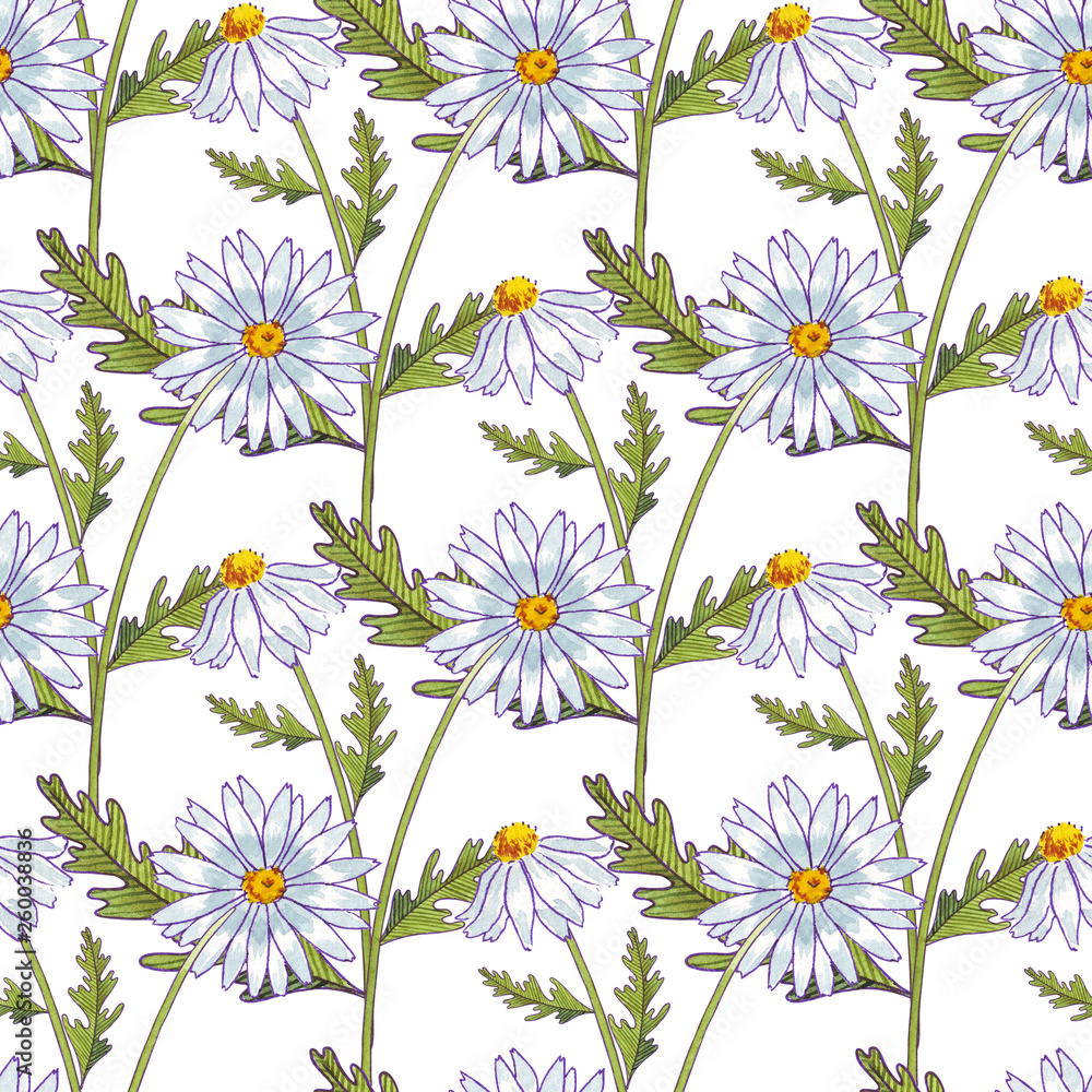 Watercolor flowers seamless pattern. Springtime. Chamomiles and leaves. Healing Herbs for textile, cards, wedding invitation, posters. Isolated on white Watercolor flowers seamless pattern. Springtime. Chamomiles and leaves. Healing Herbs for textile, cards, wedding invitation, posters. Isolated on white