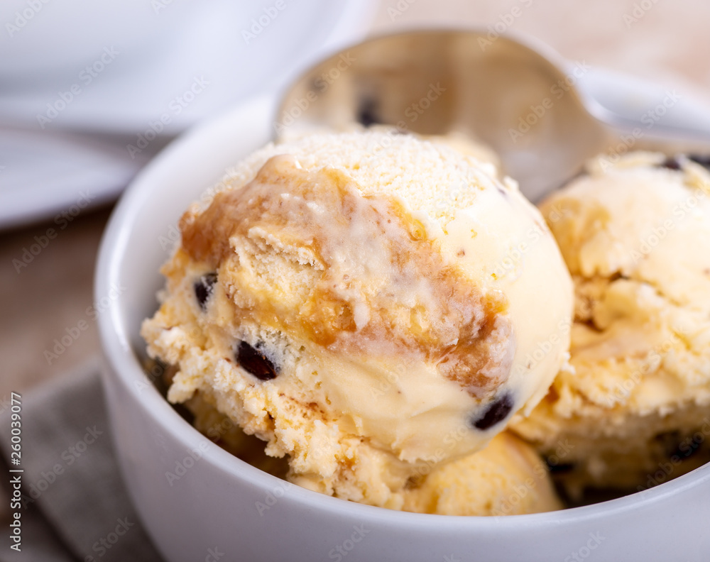 Bowl of Caramel Vanilla Ice Cream