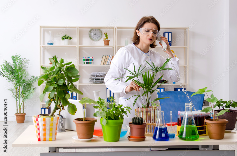 Old female biotechnology chemist working in the lab Old female biotechnology chemist working in the lab