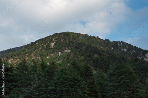 Mountains and forest under cloudy sky.
