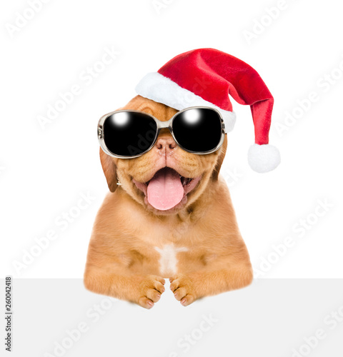 Puppy in red christmas hat  and sunglasses above white banner. isolated on white background © Ermolaev Alexandr