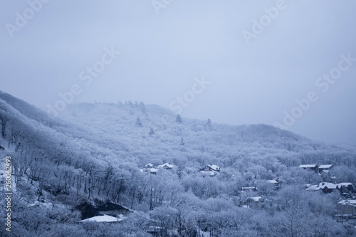 winter mountain landscape
