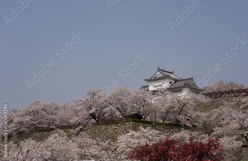 津山城