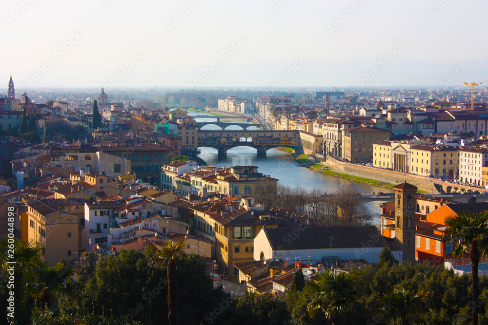 panorama of the roofs of the city of Florence, the Tuscan capital, seen from the top of a small hill.