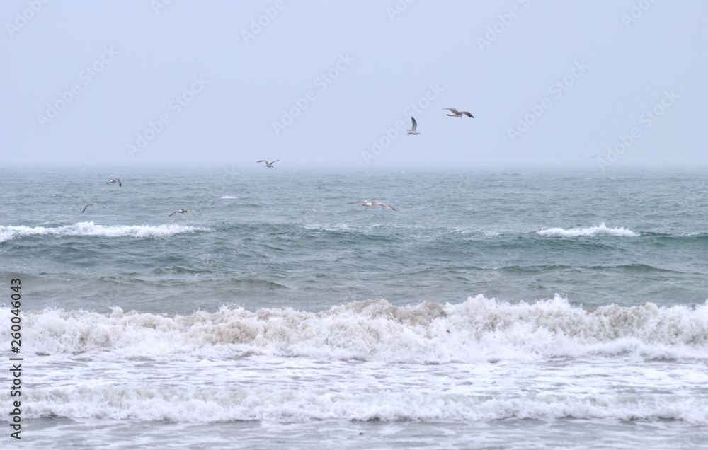 surfer on beach surfer on beach