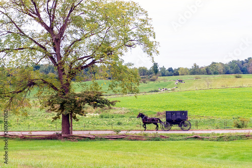 Amish Buggy on Rural Road in Late Summer © David Arment