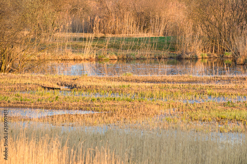 Kleine Seen, Sumpf und Grass in der Abendsonne