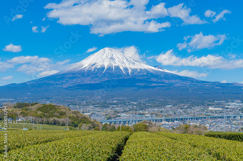 静岡県富士市の茶畑と富士山 岩本山