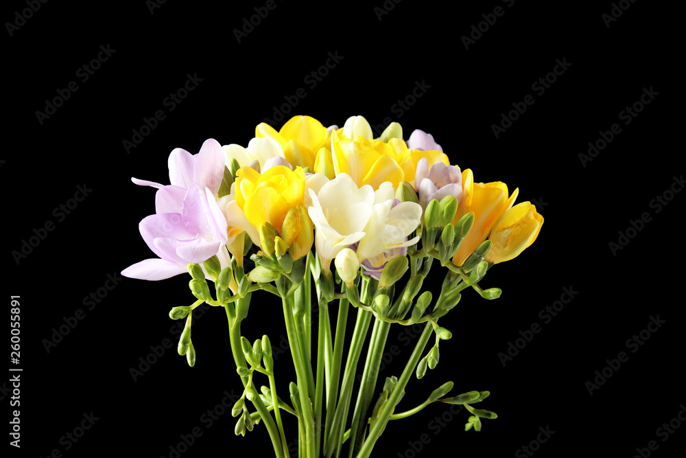 Bouquet of freesia flowers on black background