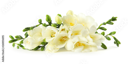 Bouquet of fresh freesia flowers isolated on white photo