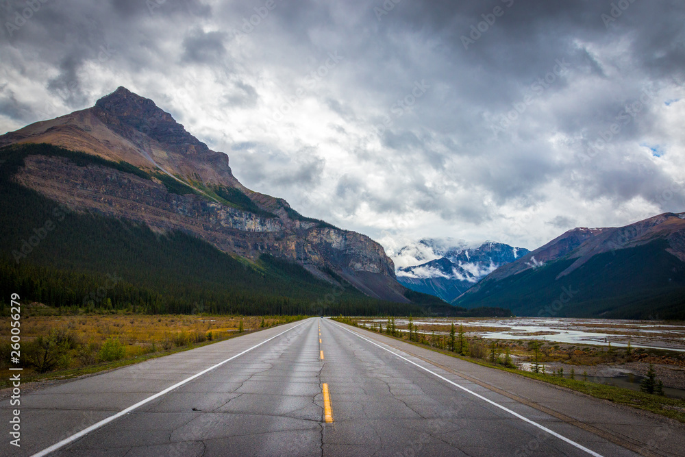 Fototapeta premium Road ahead
