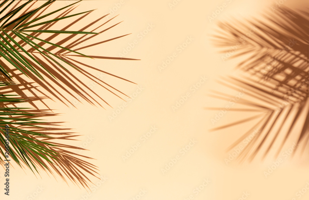 Obraz premium Summer flat lay scenery