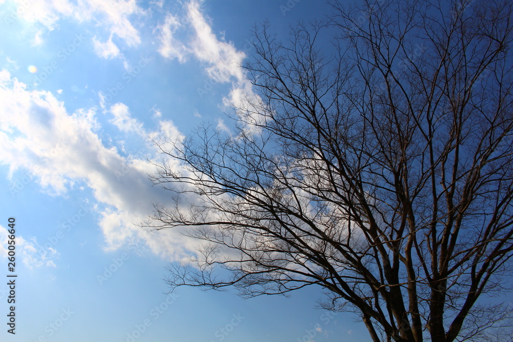 冬の空 冬の空