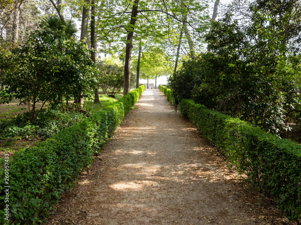 Footpath in a lush park in spring