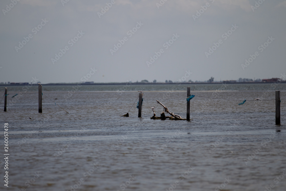 Naklejka premium PAISAJE MARINO