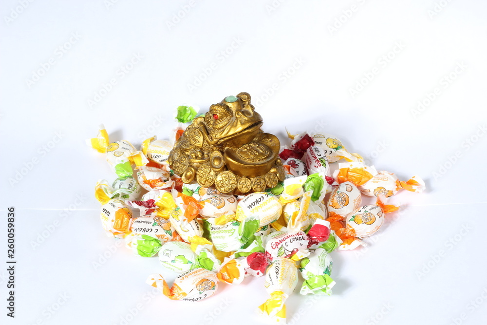 beautiful Golden frog sitting on candy
