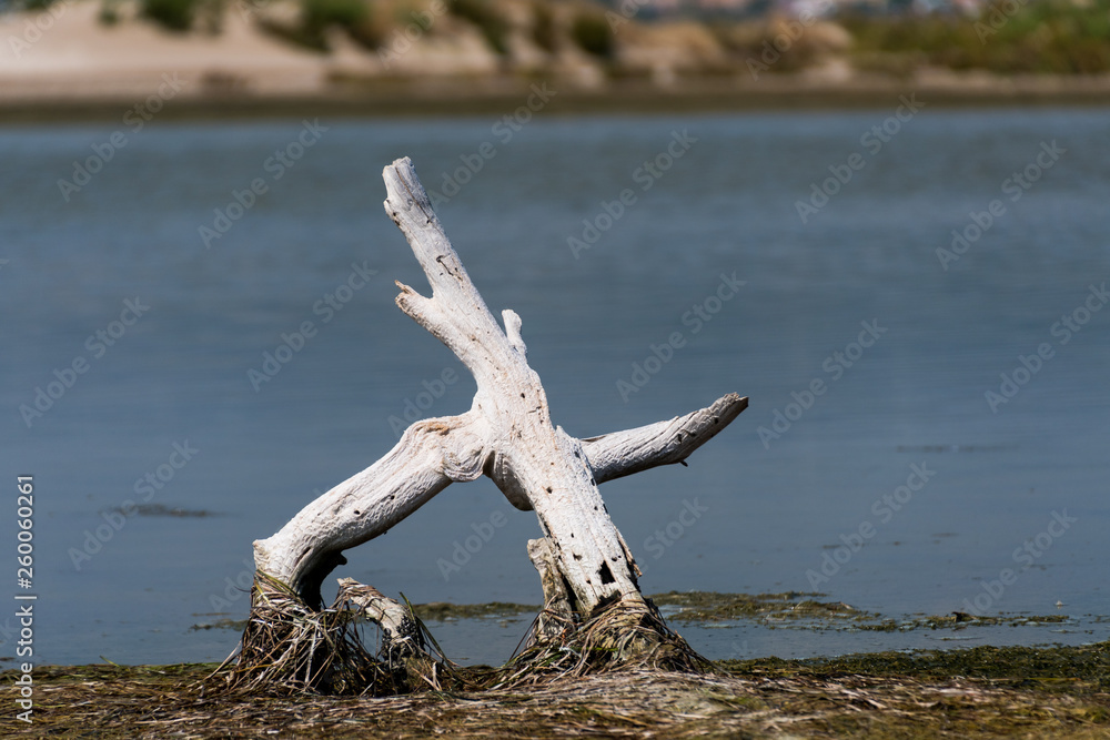 Paisaje marino