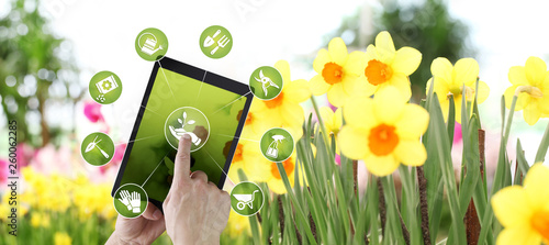 gardening equipment e-commerce concept  online shopping on digital tablet  hand pointing and touch screen with green tools icons  on spring flower plants background