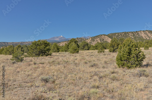 snowy peak of Mount Ouray view from Droney Gulch State Wildlife Area (Chaffee county, Colorado, USA)