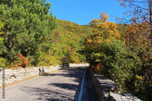View of the road in the autumn forest in mountainous terrain in clear weather. On both sides of the road are visible colorful multi-colored trees.