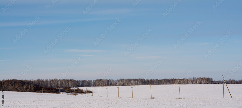 forest snow sky blue poles