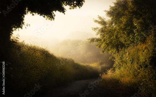Feldweg im Morgennebel kurz nach Sonnenaufgang in Cornwall