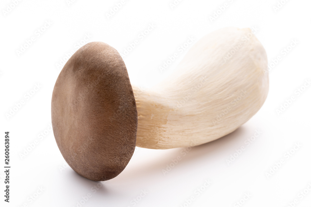 King oyster mushroom on white background. King oyster mushroom on white background.