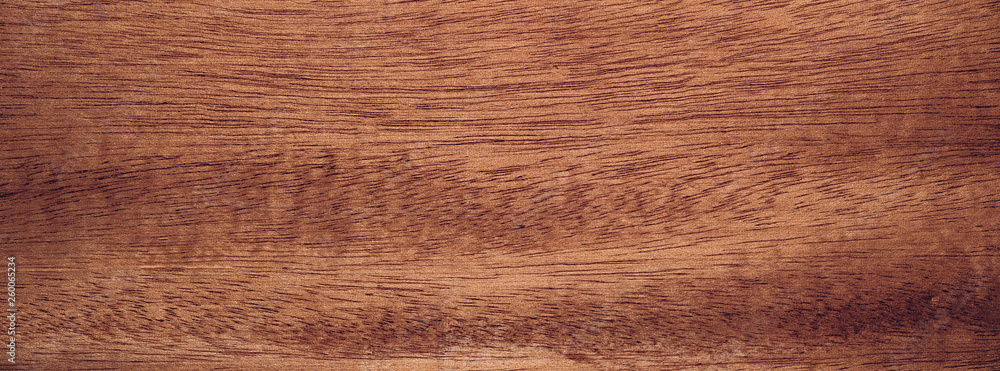 Obraz premium Solid wood texture