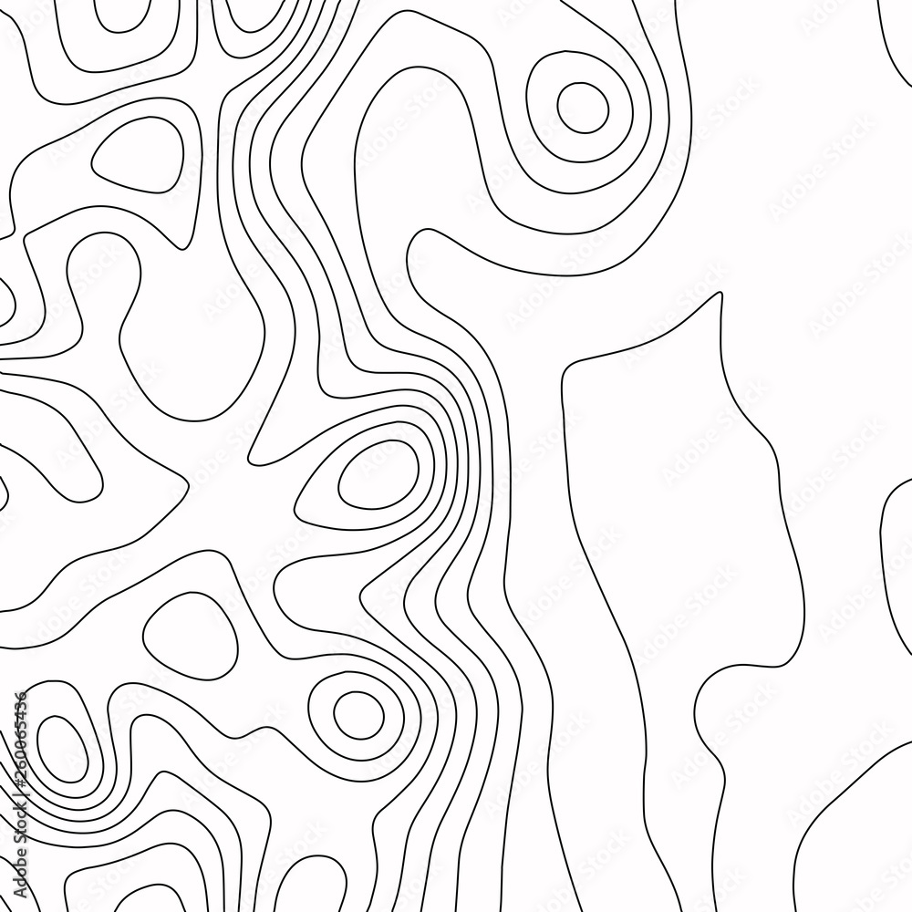 Topographic map. Black lines on white background. Contour abstract background. Vector illustration. Topographic map. Black lines on white background. Contour abstract background. Vector illustration.