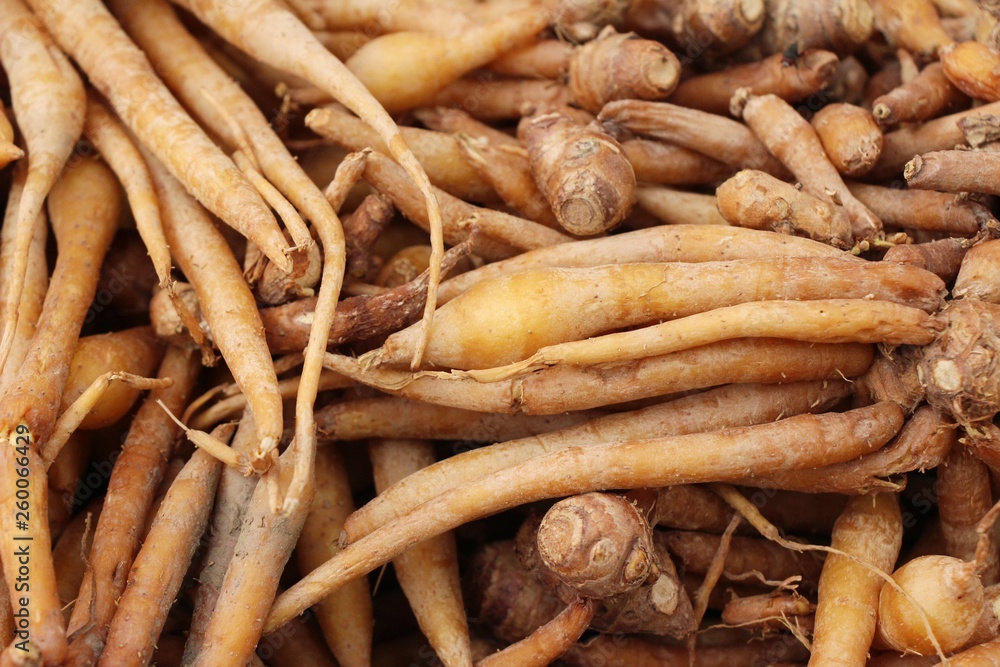 Ginger root for cooking in the market.