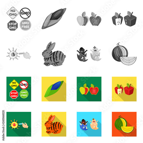 fruit icons set