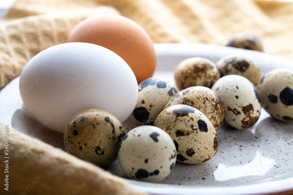 Quail and chicken eggs on the plate, eco product Quail and chicken eggs on the plate, eco product