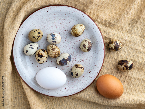 Quail and chicken eggs on the plate, eco product