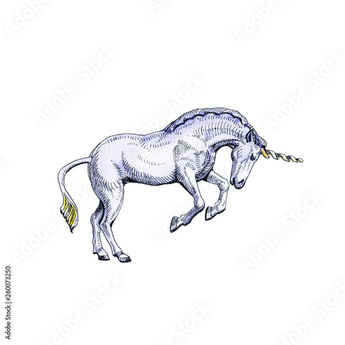 Unicorn isolated on white background. Fairy-tale character.
