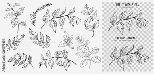 Leaves set. Hand drawn decorative elements. Vector illustration