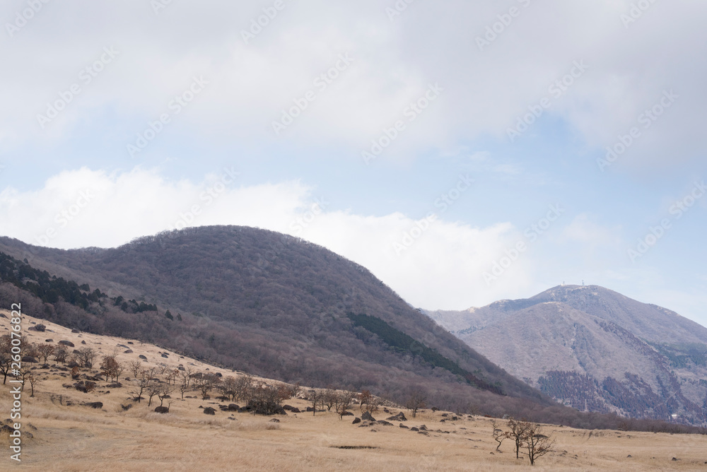 枯れた山 枯れた山