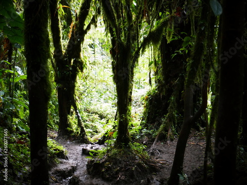 Randonnée au Cerro Chato