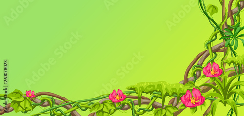 Twisted wild lianas branches background. Jungle vines plants.