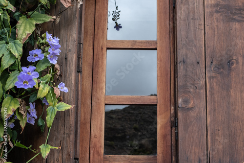 wood window with flower