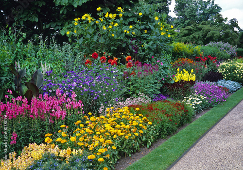 Blocks of colour with mixed planting in a long sunny border in a country garden