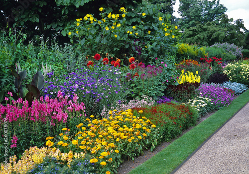 Fotografie Blocks of colour with mixed planting in a long sunny border in a country garden
