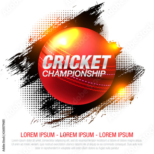 illustration of batsman and bowler playing cricket championship sports