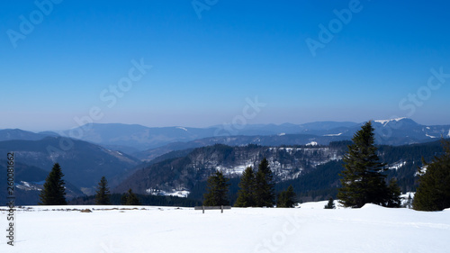 Beautiful view over the mountains in the black forest with stunning blue sky 