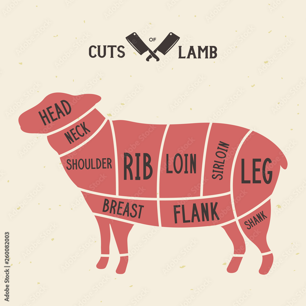 Meat cuts lamb. Diagrams for butcher shop. Scheme of lamb. Animal