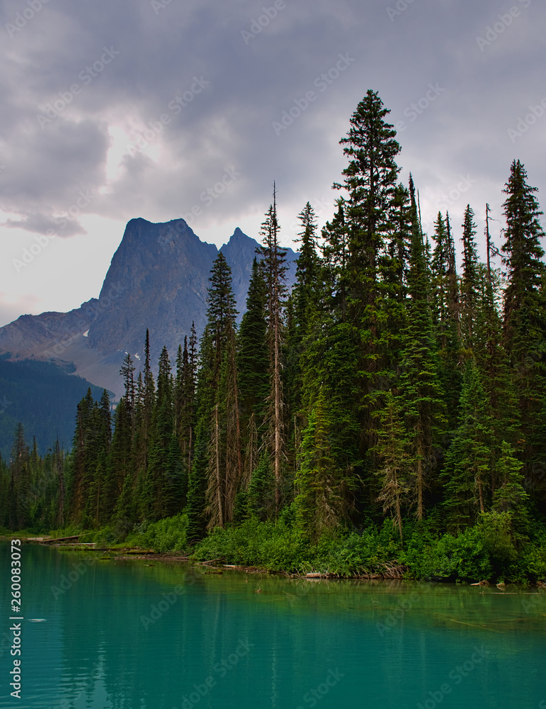Emerald Lake on a cloudy day with its thawed lake. Summer and fun. Rocky mountain canada (Canadian Rockies). Portrait, fine art. Yoho National Park, British Columbia, Canada: August 3, 2018