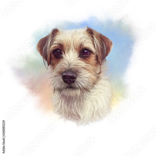 Portrait of a jack russell terrier