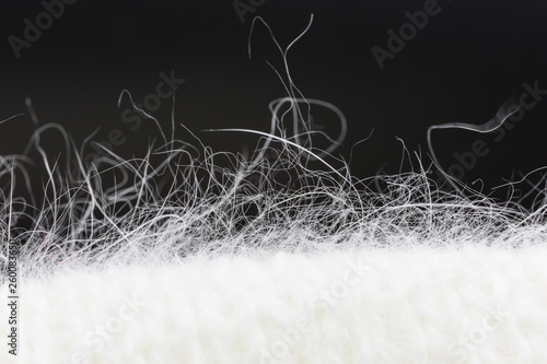 Obraz na płótnie white angora knitting against black background, focus on the fluffy hairs