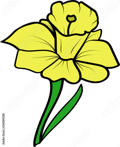 yellow vector daffodil