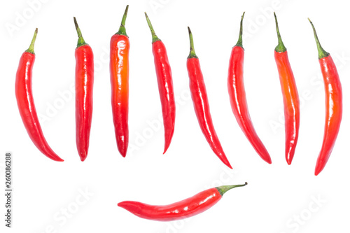 Green & Red chilli peppers on white background